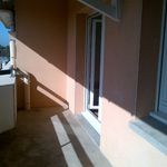 Rent 1 bedroom apartment of 31 m² in Toulouse