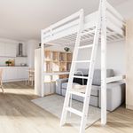 Huur 1 slaapkamer appartement van 32 m² in Brummen