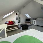 Rent 2 bedroom apartment of 40 m² in Nürnberg
