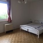 Rent 3 bedroom apartment of 93 m² in Linz