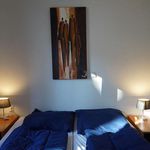 Rent 3 bedroom house in Arnhem