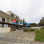 Rent 5 bedroom house of 950 m² in San Felice Circeo