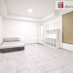 Rent 1 bedroom apartment of 35 m² in Praha