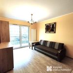 Rent 2 bedroom apartment of 49 m² in Kraków