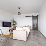 Rent 1 bedroom apartment in Antwerpen