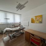 Rent 1 bedroom apartment in Reute