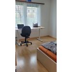 Rent 3 bedroom apartment in Oberglatt