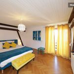 Rent 4 bedroom apartment of 135 m² in Colmar