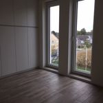 Rent 1 bedroom house in Aalst