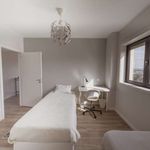 Rent 1 bedroom apartment of 59 m² in Porto