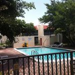 Rent 1 bedroom apartment of 700 m² in Boca Raton