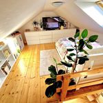 Rent 1 bedroom apartment of 31 m² in Olomouc