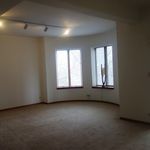 Rent 2 bedroom apartment of 1900 m² in Chicago