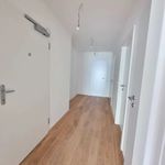 Rent 3 bedroom apartment of 73 m² in Wien