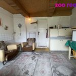 Rent 1 bedroom house of 140 m² in Nové Město