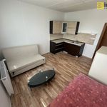 Rent 1 bedroom apartment of 22 m² in Bezdružice