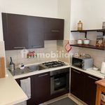Rent 3 bedroom apartment of 75 m² in Alessandria