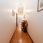 Rent 3 bedroom apartment in Roma