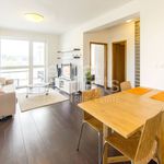 Rent 2 bedroom apartment of 55 m² in Karlova Ves
