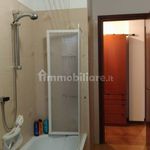 Rent 3 bedroom apartment of 115 m² in Novara