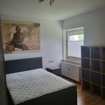 Rent 2 bedroom apartment of 49 m² in Heilbronn