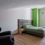Affitto 1 camera appartamento di 54 m² in Bologna
