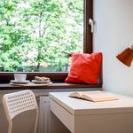 Rent 1 bedroom apartment in warsaw