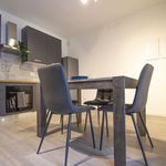 Rent 1 bedroom apartment in Monza