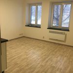 Rent 1 bedroom apartment of 29 m² in Opava