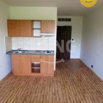 Rent 1 bedroom apartment of 22 m² in Ostrava