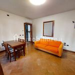 Affitto 2 camera appartamento di 50 m² in Treviso