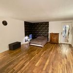 Rent 1 bedroom apartment of 33 m² in Alzing