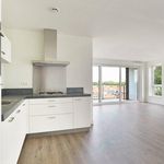 Rent 1 bedroom house of 63 m² in Den Haag