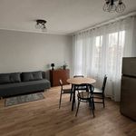Rent 1 bedroom apartment of 40 m² in Poznan