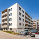 Rent 1 bedroom apartment of 47 m² in Pardubice