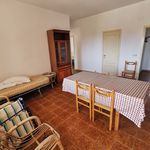 Rent 1 bedroom apartment of 110 m² in Montauro