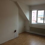 Rent 9 bedroom apartment in Náchod