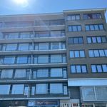 Rent 2 bedroom apartment in Wilrijk