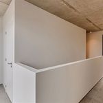 Huur 2 slaapkamer huis van 110 m² in Antwerpen