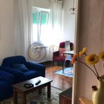 Appartamento In Affitto, Pietrasanta - Riferimento: Apieap107
