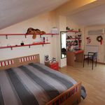 Rent 2 bedroom apartment of 70 m² in Rende