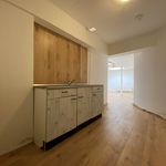 Rent 1 bedroom apartment of 30 m² in Heerenveen