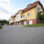 Rent 2 bedroom apartment of 45 m² in Brno