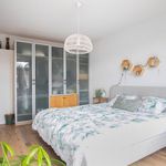 Rent 4 bedroom apartment of 155 m² in 's-Gravenhage