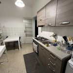 Rent 2 bedroom house of 60 m² in Torino