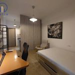 Rent 1 bedroom house of 25 m² in  Αχαΐα