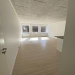 Rent 2 bedroom apartment of 84 m² in Randers C