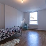 Huur 5 slaapkamer huis van 2015 m² in Charleroi