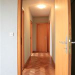 Huur 2 slaapkamer appartement van 120 m² in Diest