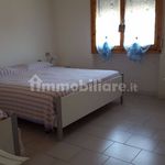 Affitto 3 camera appartamento di 65 m² in Rosignano Marittimo